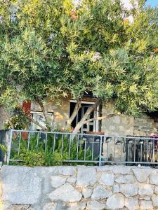 Kuća za odmor “Dida”