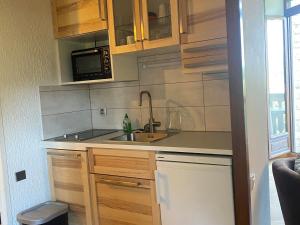 Appartement T2 à Villard-de-Lans pour 4 personnes - FR-1-515-148