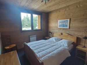 Appartement cosy style montagne - 6 pers, animaux admis, proche pistes - Les Deux Alpes - FR-1-516-192