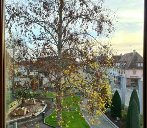 LAuberge SYRA - Gites Alsace - Proche EuropaPark