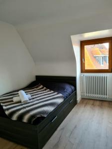 Appartements Auberge SYRA/ Proche Europa Park : photos des chambres