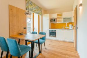Large One-Bedroom Apartment room in Ferienhaus Holzer