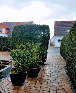 Appartement am Goldsteinpark