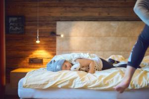 Bauernhof Hotel Oberschwarzach