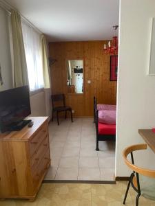 Ferienwohnung Allalinblick