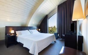 Superior Double Room room in Hotel Mosaico