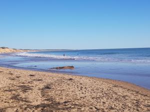 Belle petite maison neuve avec jardin privatif