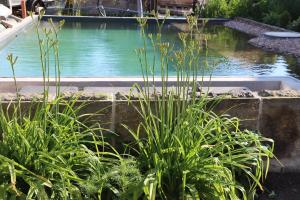 Drei-Seiten-Hof Étable mit Schwimmteich und Klimanlage