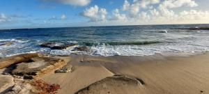 Cap Marine 8 - 4-star hotels in Le Guilvinec