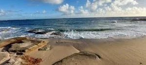 Cap Marine 8 - 庞马尔