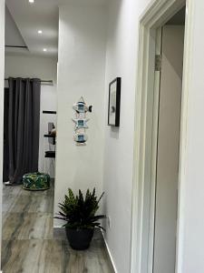 Jasmine Stay Self-Catering Apartments