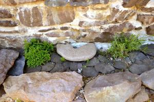 Secluded cottage nestled in the Beara Peninsula
