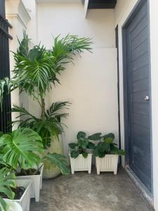 Baan Thanakul Residences