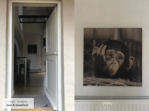 Loft aan Puyenbroeck