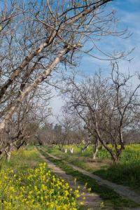 Casa Cielo en Chena Magica