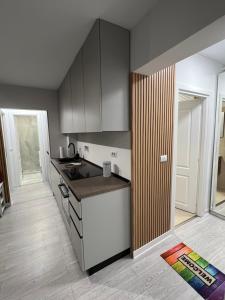 Oxana Apartments - 3 camere - Timisoara