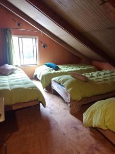 Cabañas Cauchao Chaitén