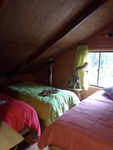 Cabañas Cauchao Chaitén