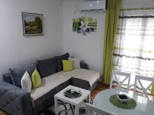 Tanja Raj - Trstenik