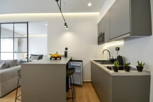 Luxury Downtown Apartment C1