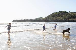 Wattleseed - 4 Wattle Street