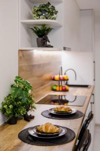 Stylish Apartment in Zverynas