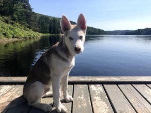 Chalet Au Bord du St-Maurice