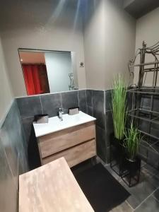 Appartements Le Paul Chandon Centre-ville 4 pers Parking prive 2 places : photos des chambres