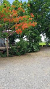 ที รีสอร์ท T Resort Suphanburi