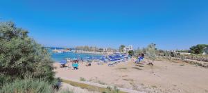 STAY Trinity Beach Apts