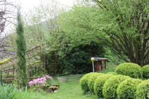 B&B / Chambres d'hotes La Hulotte : photos des chambres