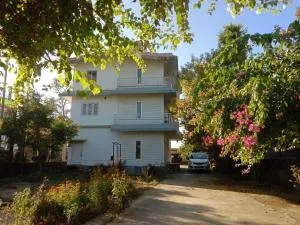 White Paper - Gogāmukh