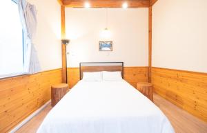 Oferta noclegów 9034291