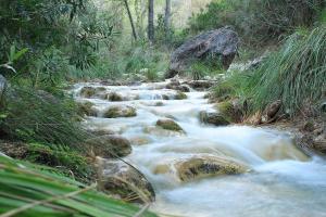 LA CASITA DE FERNANDO