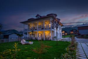 Zanike hotel