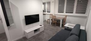 Apartament Miedzianka III