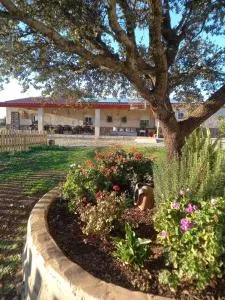 CASA RURAL LA HOJA EL VALLE - Navalvillar de Pela