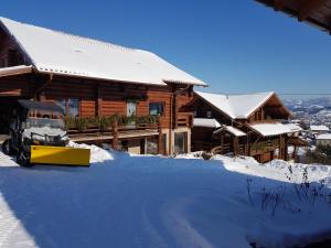 Cabana vultur2 strada popeni