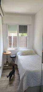 La Juanita Jose Ignacio