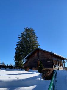 Maisons de vacances Chalet du Bois Joli : photos des chambres