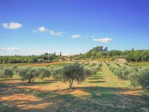 Lodges Domaine de Conillieres : photos des chambres