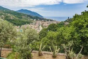 Entire Villa with pool in Recco Cinque Terre no001 - Testana