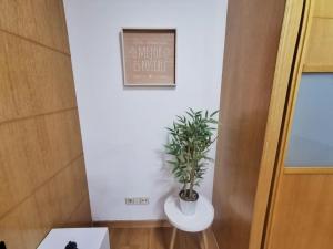 Castrelos, Vigo, diseño