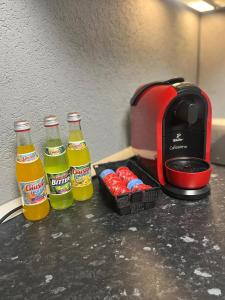 Casa de vacanță Cheșa