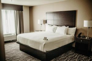 King Room - Disability Access room in Cobblestone Hotel & Suites International Falls