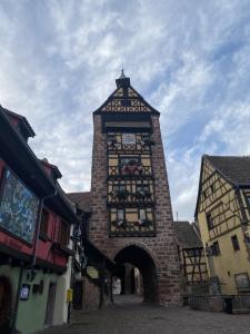 Appartements Riquewihr centre historique : photos des chambres