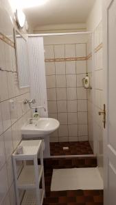 Modrá růže Třeboň