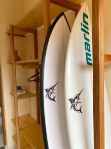 Mandacaru Flats Itamambuca