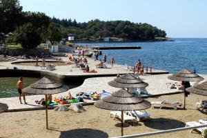 Holiday house with a swimming pool Fuskulin, Porec - 20264