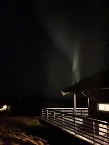 Aurora woods - Langfjord